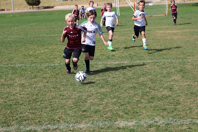 2025赛季中超赛程（北京国安纯享版） 新赛季，我们一起战斗！.