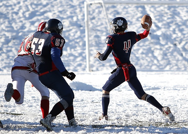法国前国脚：毫不怀疑博格巴的纯粹，他可能被欺骗了.