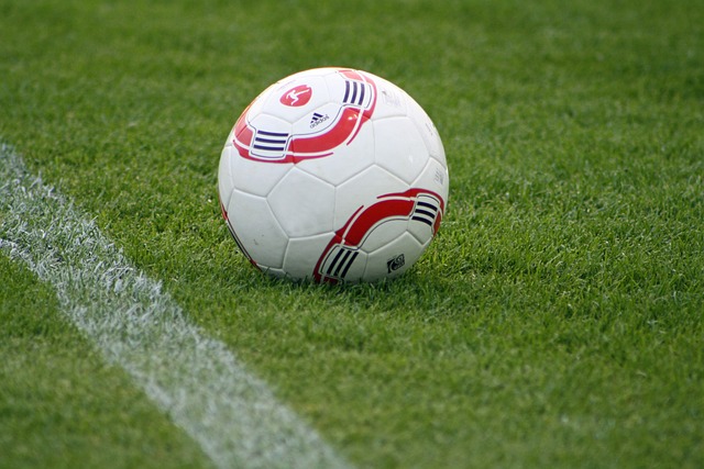 瑞士邊鋒沙奇裏效力的俱樂部.