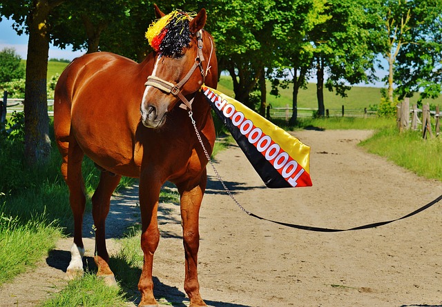 卡拉格：曼城被皇马衬得像青年队 皇马是欧冠热门&其他球队该害怕.
